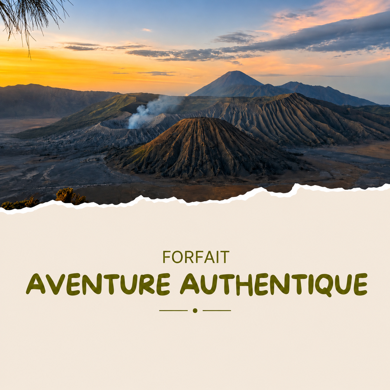 🌴 Découvrez le vrai Bali