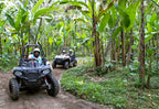 Buggy Adventure Bali