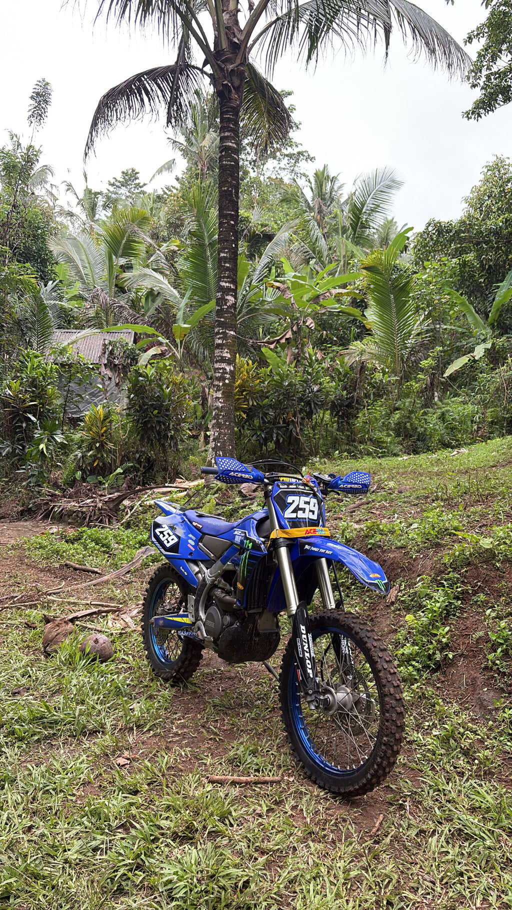 Cross beach jungle Canggu