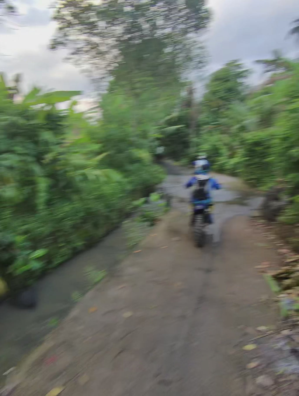 Cross beach jungle Canggu
